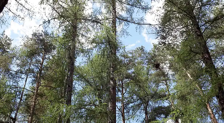 Ferielejlighed i Huben