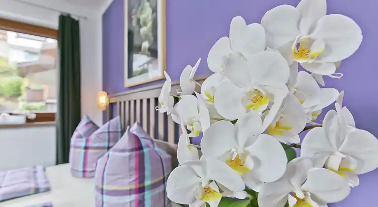 Ferielejlighed i Wenns