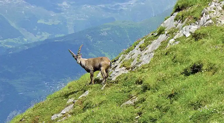 Ferielejlighed i Gemeinde Prutz