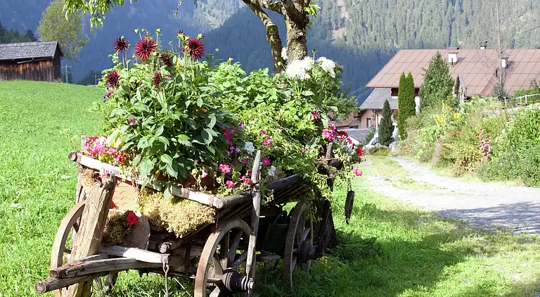 Apartment in Tobadill