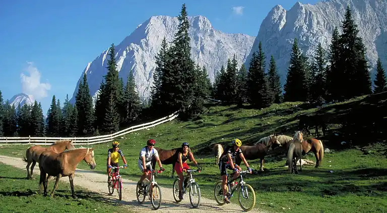 Apartment in Lechaschau