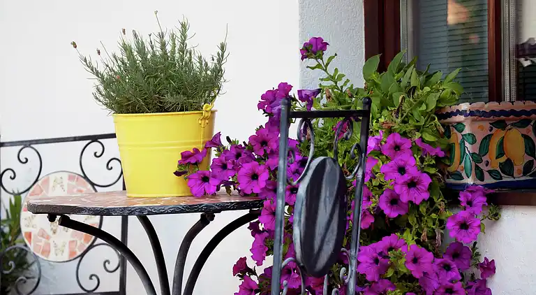 Apartment in Ehrwald