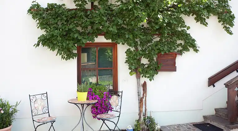 Apartment in Ehrwald