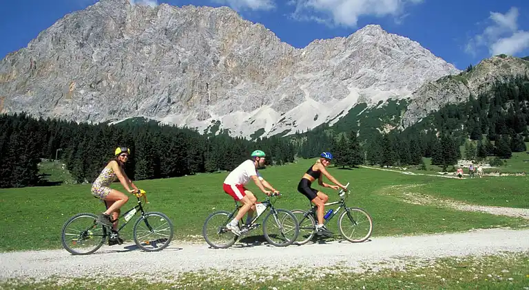 Apartment in Ehrwald