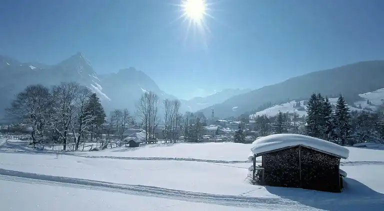 Apartment in Ehrwald