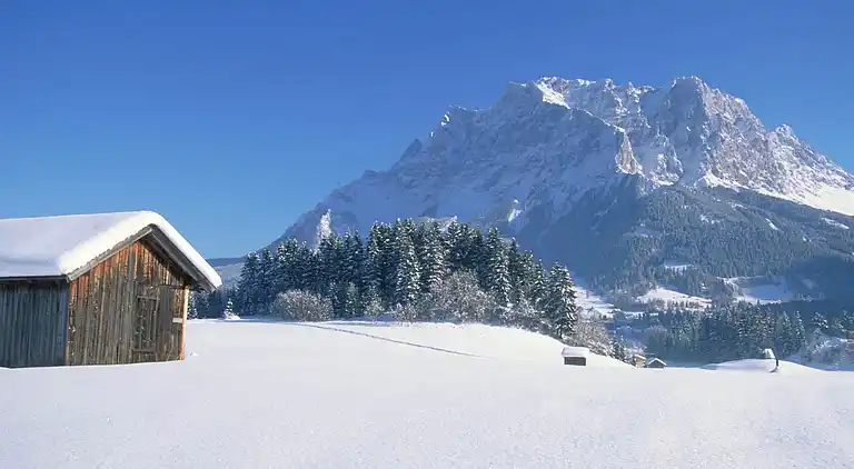 Apartment in Ehrwald