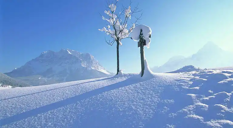 Apartment in Ehrwald