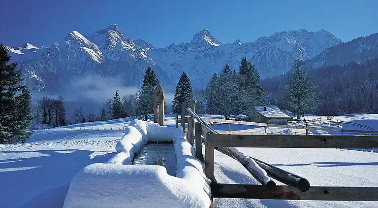 Ferielejlighed i Bürserberg