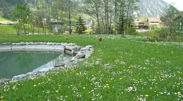 Hytte i Brand bei Bludenz