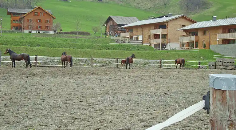 Hytte i Brand bei Bludenz