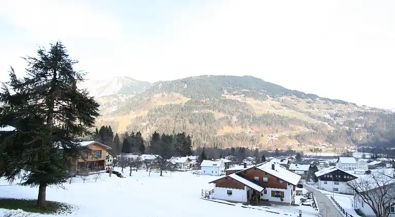 Apartment in Vandans