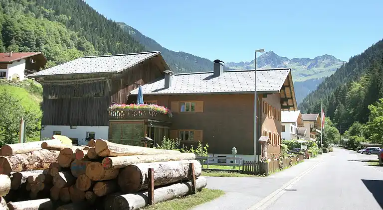 Apartment in Silbertal