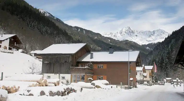 Apartment in Silbertal