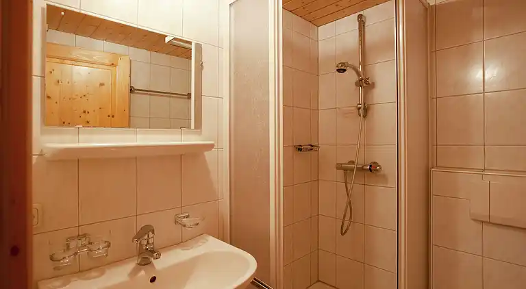 Apartment in Silbertal