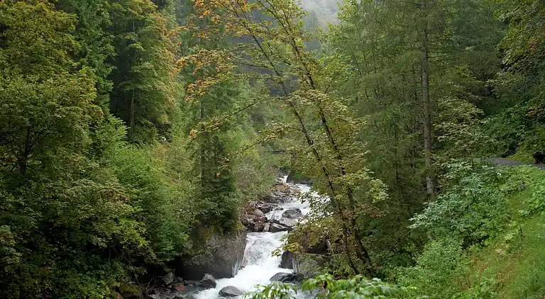 Apartment in Bartholomäberg