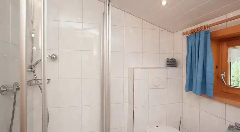 Apartment in Silbertal