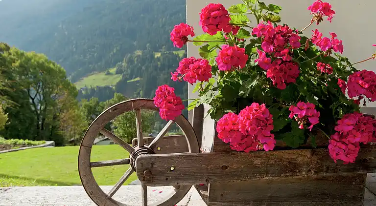 Apartment in Grandau