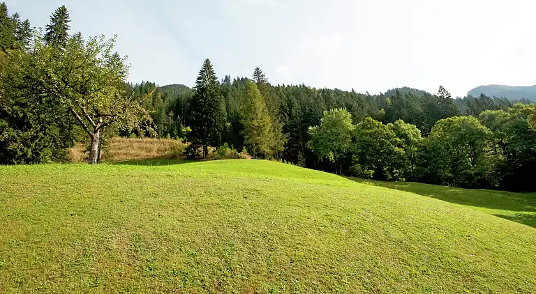 Apartment in Grandau