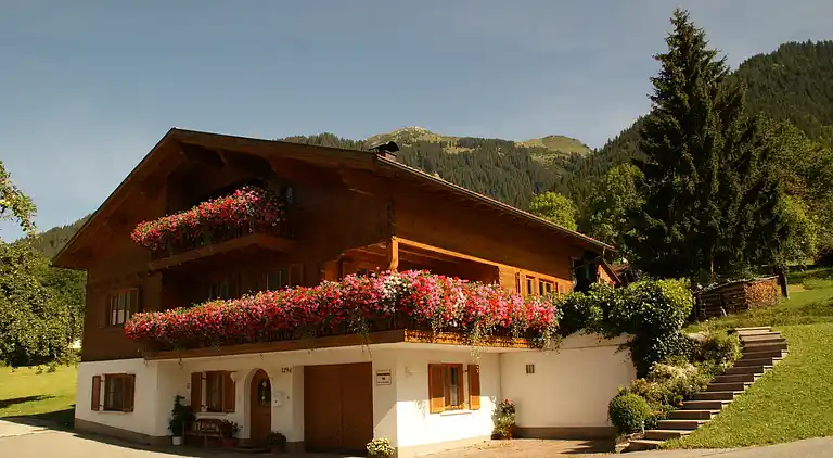 Ferielejlighed i Sankt Gallenkirch