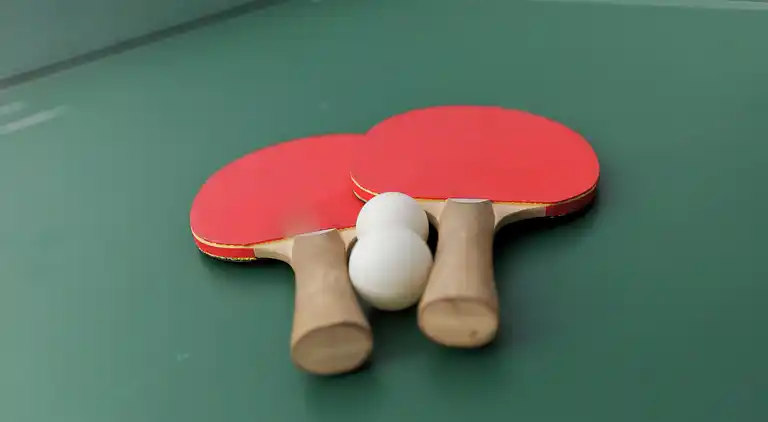 Ferielejlighed i Sankt Gallenkirch