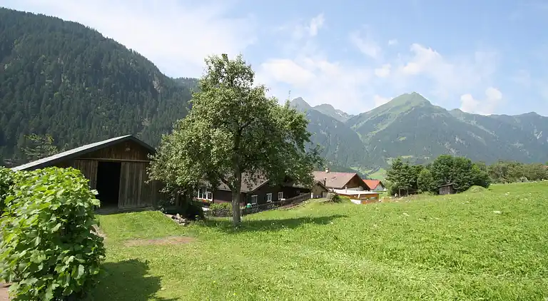 Ferielejlighed i Sankt Gallenkirch