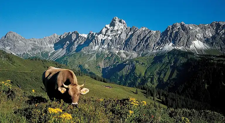 Sommerhus i Sankt Gallenkirch