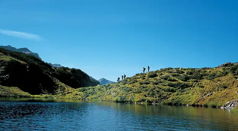 Apartment in Garfrescha