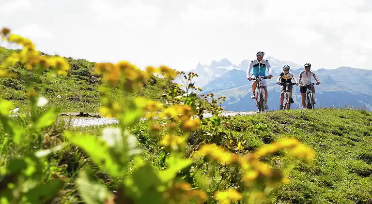 Apartment in Garfrescha