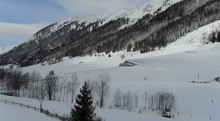 Ferielejlighed i Gemeinde Pusterwald