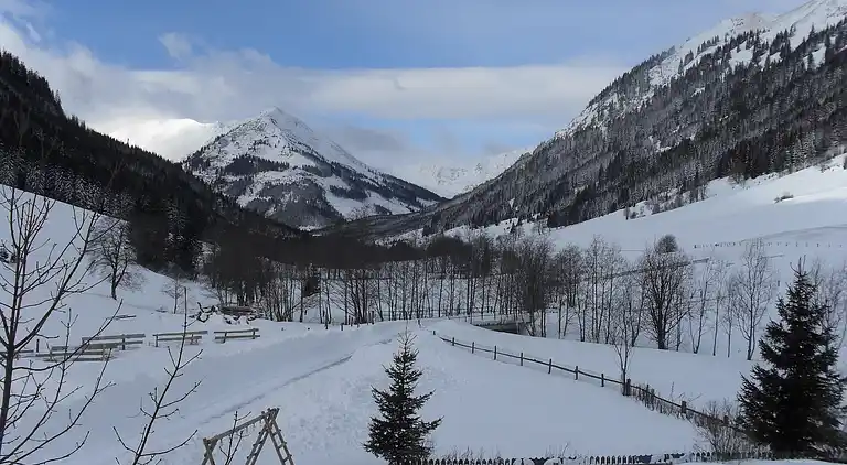 Lägenhet i Gemeinde Pusterwald
