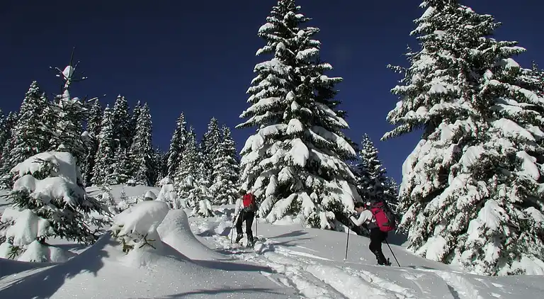 Apartment in Eisenerz