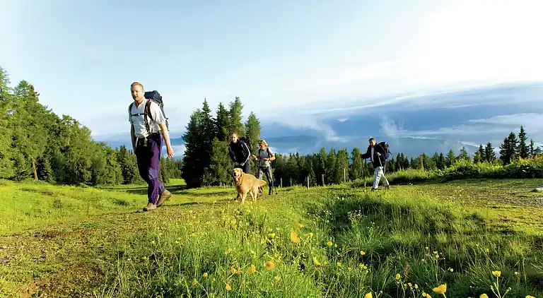 Holiday home in Sankt Georgen ob Murau