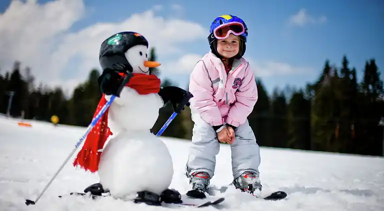 Hytte i Sankt Lorenzen ob Murau