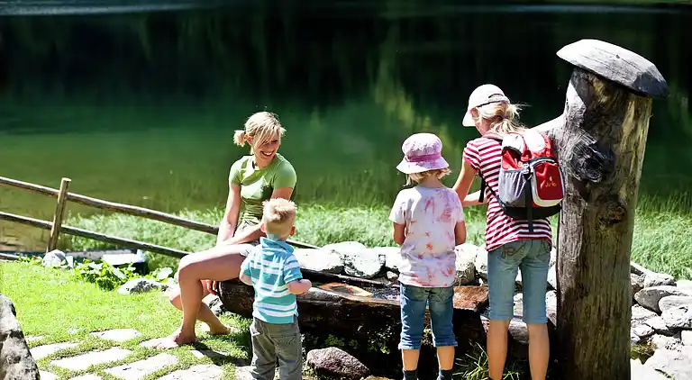 Sommerhus i Turracherhöhe