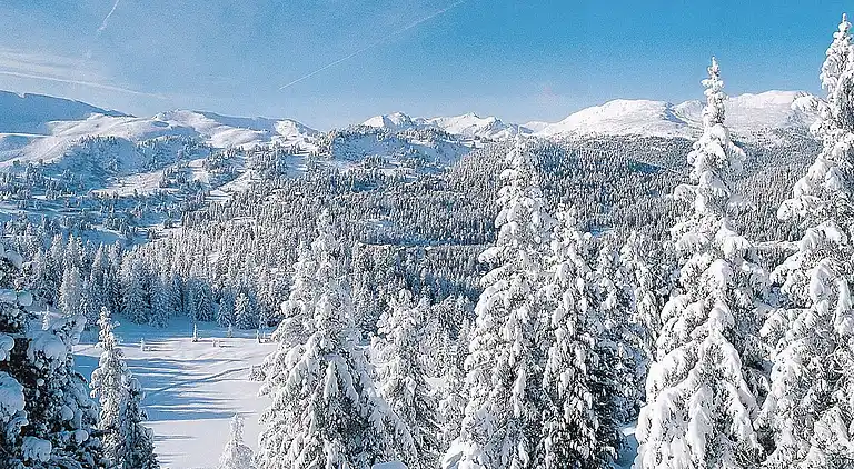 Sommerhus i Turracherhöhe