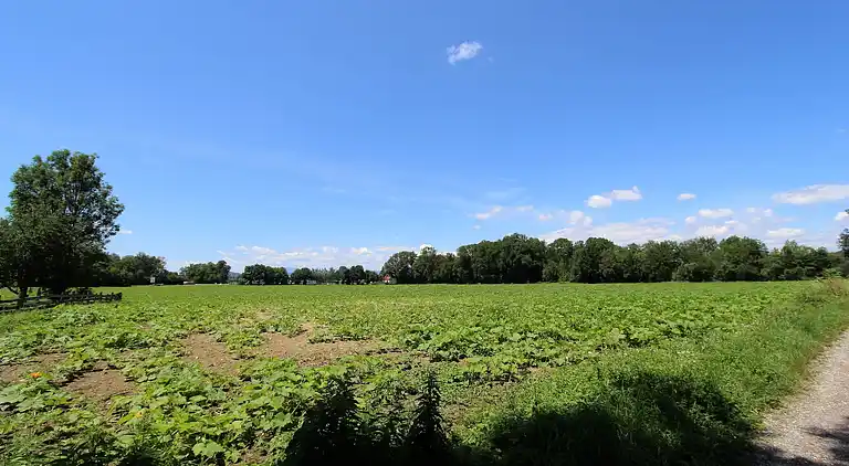Farm house in Hörtendorf