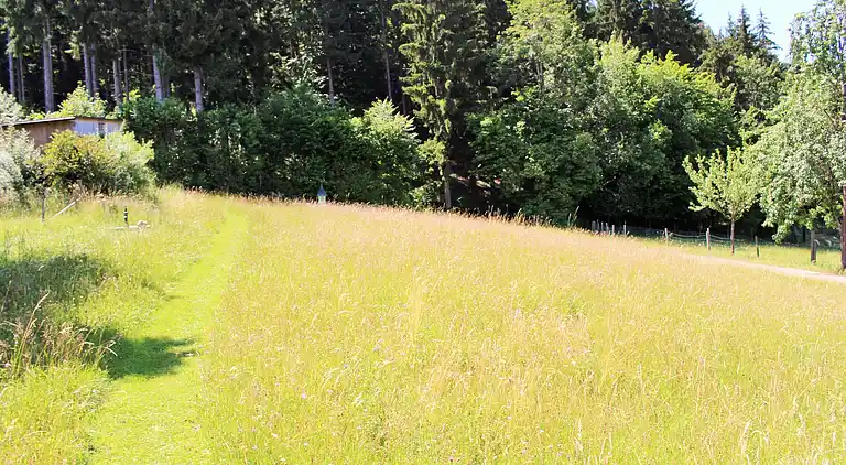 Ferienwohnung in Wurdach