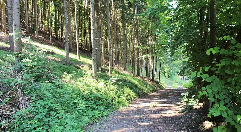 Ferienwohnung in Wurdach