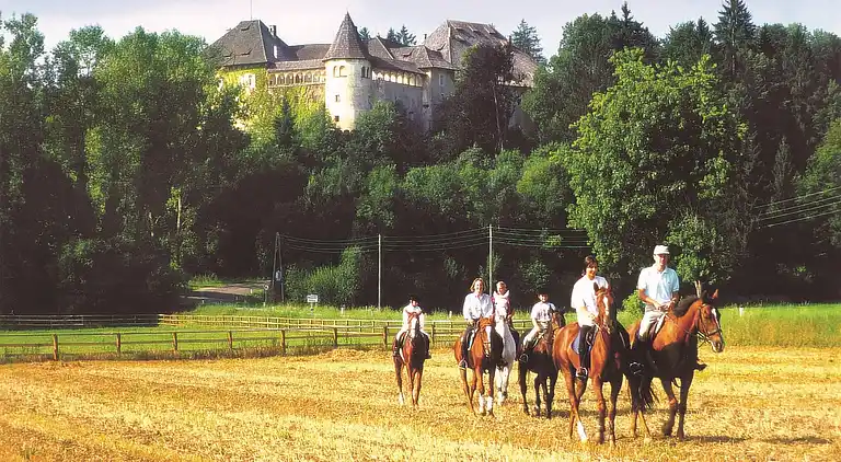 Mobile home in Völkermarkt