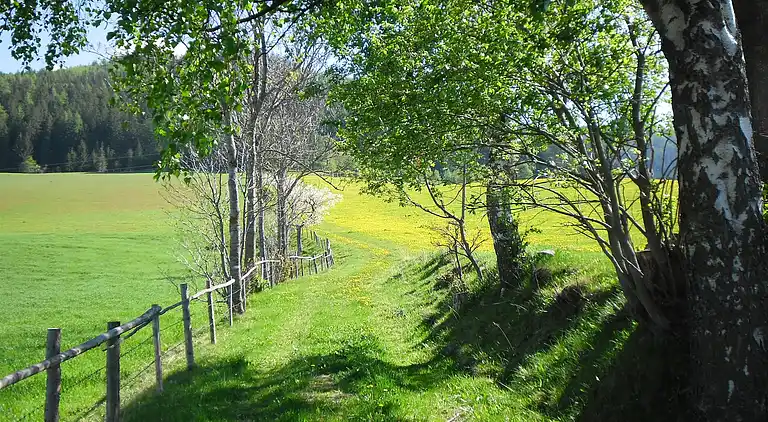 Holiday home in Gemeinde Ruden