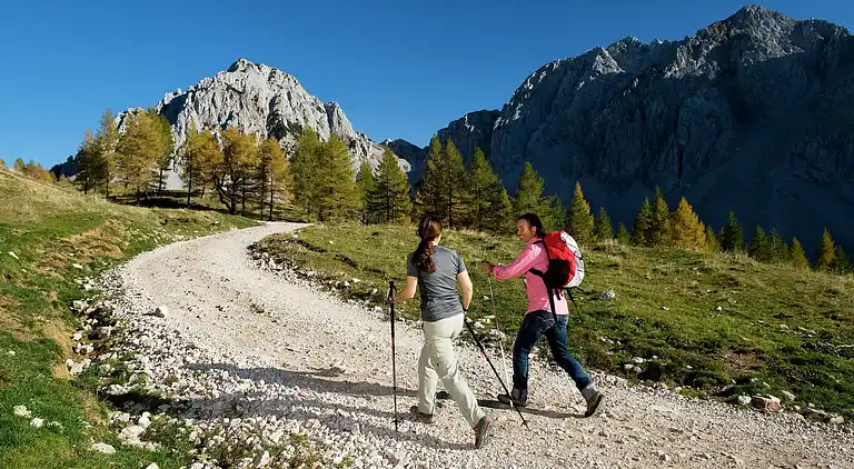 Holiday home in Ferlach