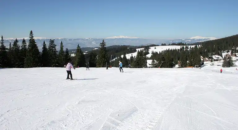 Sommerhus i Weinebene