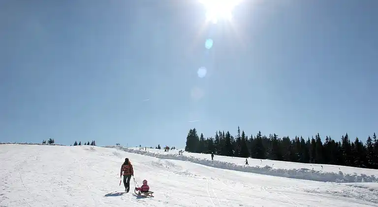 Sommerhus i Weinebene