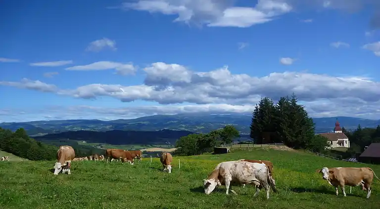 Holiday home in Wolfsberg
