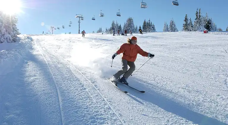 Holiday home in Wolfsberg