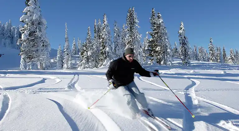 Herregård i Wolfsberg