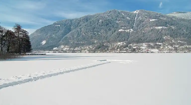 Holiday home in Reichenfels