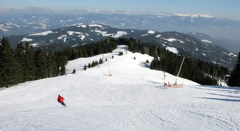 Hytte i Bad St Leonhard im Lavanttal