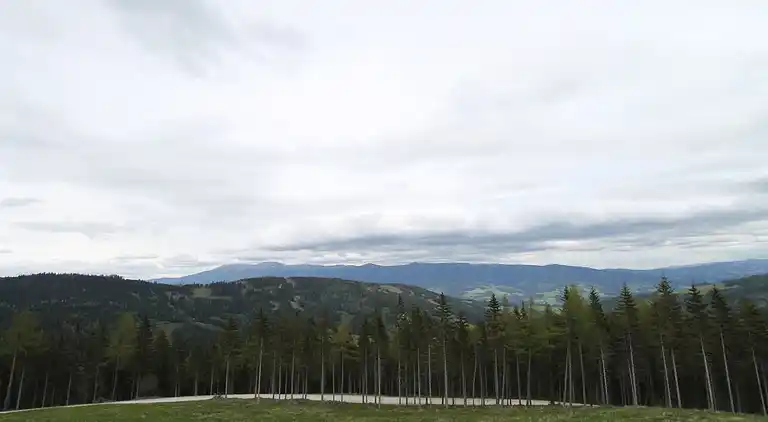 Hytte i Bad St Leonhard im Lavanttal