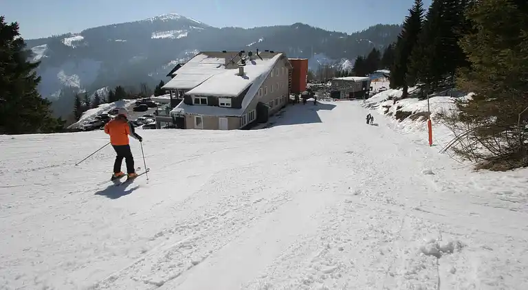 Hytte i Bad St Leonhard im Lavanttal